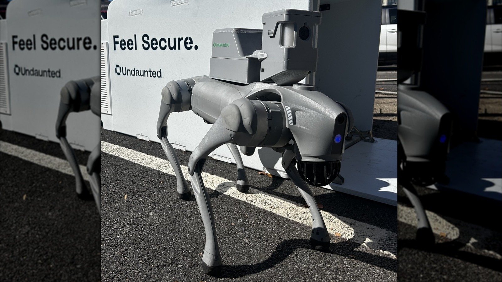 Araba Hırsızının Kabusu Oldular: Robot Köpekler Çöp Kutunda Yakaladı!